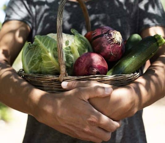 Sustainable Urban Deltas: An Alternative Food System that Meets the Triple Bottom Line of Sustainability with dire consequences for the climate