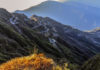 China Looks West: What Is at Stake in Beijing’s “New Silk Road” Project