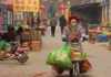 The Greening of Asia: Businesses’ Role in the World’s Biggest-Ever Environmental Clean-Up