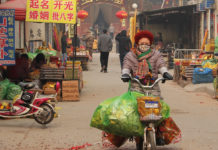 The Greening of Asia: Businesses’ Role in the World’s Biggest-Ever Environmental Clean-Up