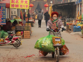 The Greening of Asia: Businesses’ Role in the World’s Biggest-Ever Environmental Clean-Up