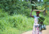 Will Africa Feed China? “Begging with a Golden Bowl” Food Security and Commercial Farms