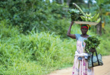 Will Africa Feed China? “Begging with a Golden Bowl” Food Security and Commercial Farms