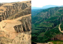 What Africa can Learn from China about Climate Change Adaptation