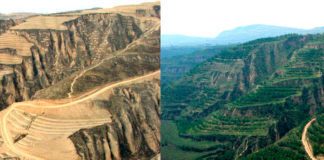 What Africa can Learn from China about Climate Change Adaptation