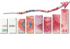 Why I’m Keeping the Faith with China