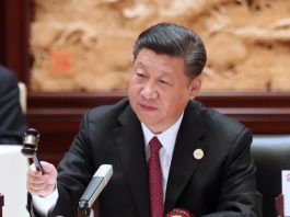 Patient Capital in the Context of the Belt and Road Initiative (BRI)