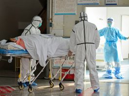 China’s Pioneering Effort to Contain Virus Outbreak Economic and Human Costs of the New Coronavirus