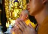 What is Pure Land Buddhism? A look at how East Asian Buddhists chant and strive for buddhahood East Asian Buddhists chant and strive for buddhahood