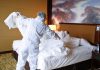 COVID Hospitality: 4 Lessons We Can Learn from the Chinese Hotel Industry Chinese Hotel