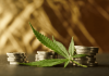 Three Benefits Of Investing In Cannabis Stocks