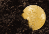 Bitcoin: China’s crackdown isn’t enough – only a global effort can stop crypto’s monstrous energy demand