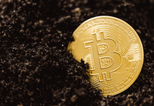 Bitcoin: China’s crackdown isn’t enough – only a global effort can stop crypto’s monstrous energy demand