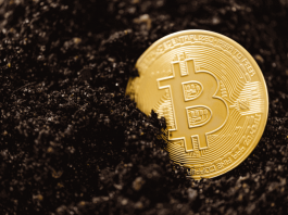 Bitcoin: China’s crackdown isn’t enough – only a global effort can stop crypto’s monstrous energy demand
