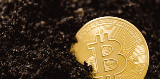 Bitcoin: China’s crackdown isn’t enough – only a global effort can stop crypto’s monstrous energy demand