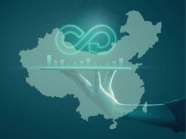 Chinese Circular Economy: A Brief Overview