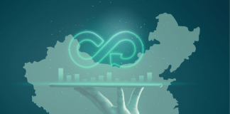 Chinese Circular Economy: A Brief Overview
