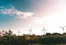 Why the Financial Services Sector Will Need to Embrace ESG