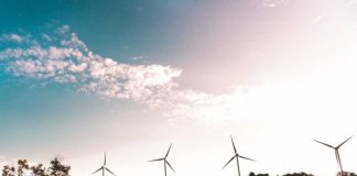 Why the Financial Services Sector Will Need to Embrace ESG