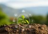How Special Soil Observatories in China are Helping to Create More Sustainable Agriculture Soil