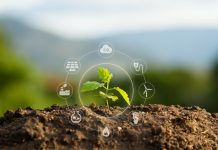 How Special Soil Observatories in China are Helping to Create More Sustainable Agriculture Soil