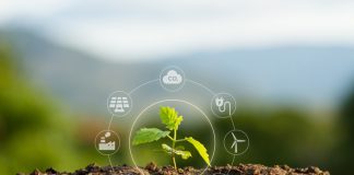 How Special Soil Observatories in China are Helping to Create More Sustainable Agriculture Soil