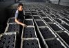 China’s Energy Crisis Shows Just How Hard it Will Be to Reach Net Zero Factory