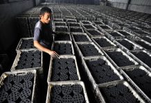 China’s Energy Crisis Shows Just How Hard it Will Be to Reach Net Zero Factory