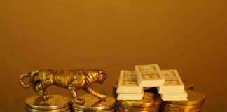 China’s Economic Outlook in the Year of the Tiger Year of the Tiger