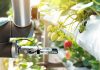 AI Strawberries And Blockchain Chicken: How Digital Agriculture Could Rescue Global Food Security” AI