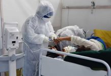 Some Coronaviruses Kill, While Others Cause a Common Cold. We are Getting Closer to Knowing Why covid