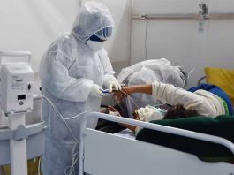 Some Coronaviruses Kill, While Others Cause a Common Cold. We are Getting Closer to Knowing Why covid