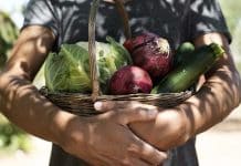 Sustainable Urban Deltas: An Alternative Food System that Meets the Triple Bottom Line of Sustainability with dire consequences for the climate