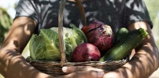 Sustainable Urban Deltas: An Alternative Food System that Meets the Triple Bottom Line of Sustainability with dire consequences for the climate