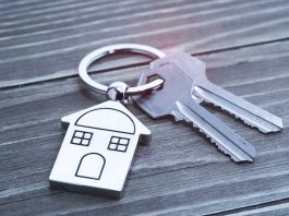China Property Crisis: Why the Housing Market is Collapsing – and the Risks to the Wider Economy Housing