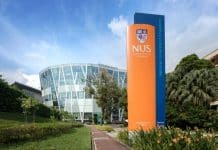Thought Leadership, Frameworks, Tools and Immersion: Interview with Dr Prem Shamdasani of NUS Business School Thought Leadership