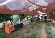 China’s Population Decline Is a Result of Decades of Botched Family Planning Measures and Will Have Global Implications China’s Population Decline Is a Result of Decades of Botched Family Planning Measures and Will Have Global Implications