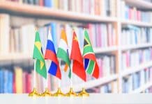 De-dollarization, Six New Members, and Internal Rivalry: A Summary of the 15th BRICS summit BRICS