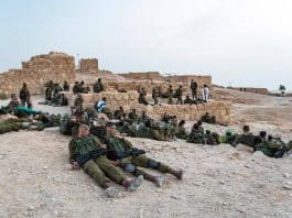 Hamas and Hezbollah: How They Are Different and Why They Might Cooperate Against Israel iStock-1155668930